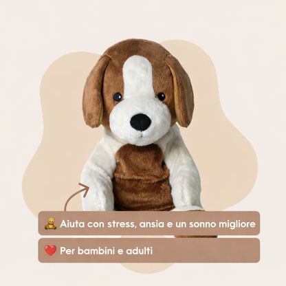 🧸 Peluche Compagno del Cuore – 2 kg