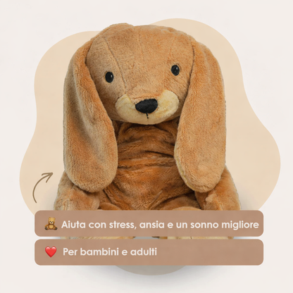 🧸 Peluche Compagno del Cuore – 2 kg